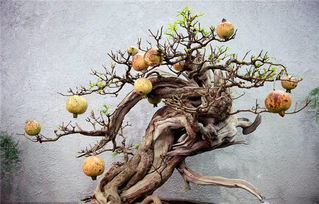 前景廣闊，效益可觀——高經濟價值花卉苗木種植指南